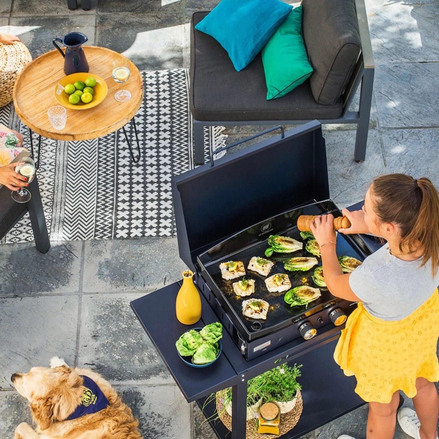 Combo Plancha Gaz Adela Bleu 260 Chariot + Capot - Le Marquier 5 Combo Plancha Gaz Adela Bleu 260 Chariot + Capot - Le Marquier – Image 3