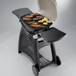 Grille De Cuisson Fonte émaillée Q300/Q3000 - Weber 9 Grille De Cuisson Fonte émaillée Q300/Q3000 - Weber -Weber Soldes Magasin grille de cuisson pour q300 barbecue a gaz weber 0077924038853 3