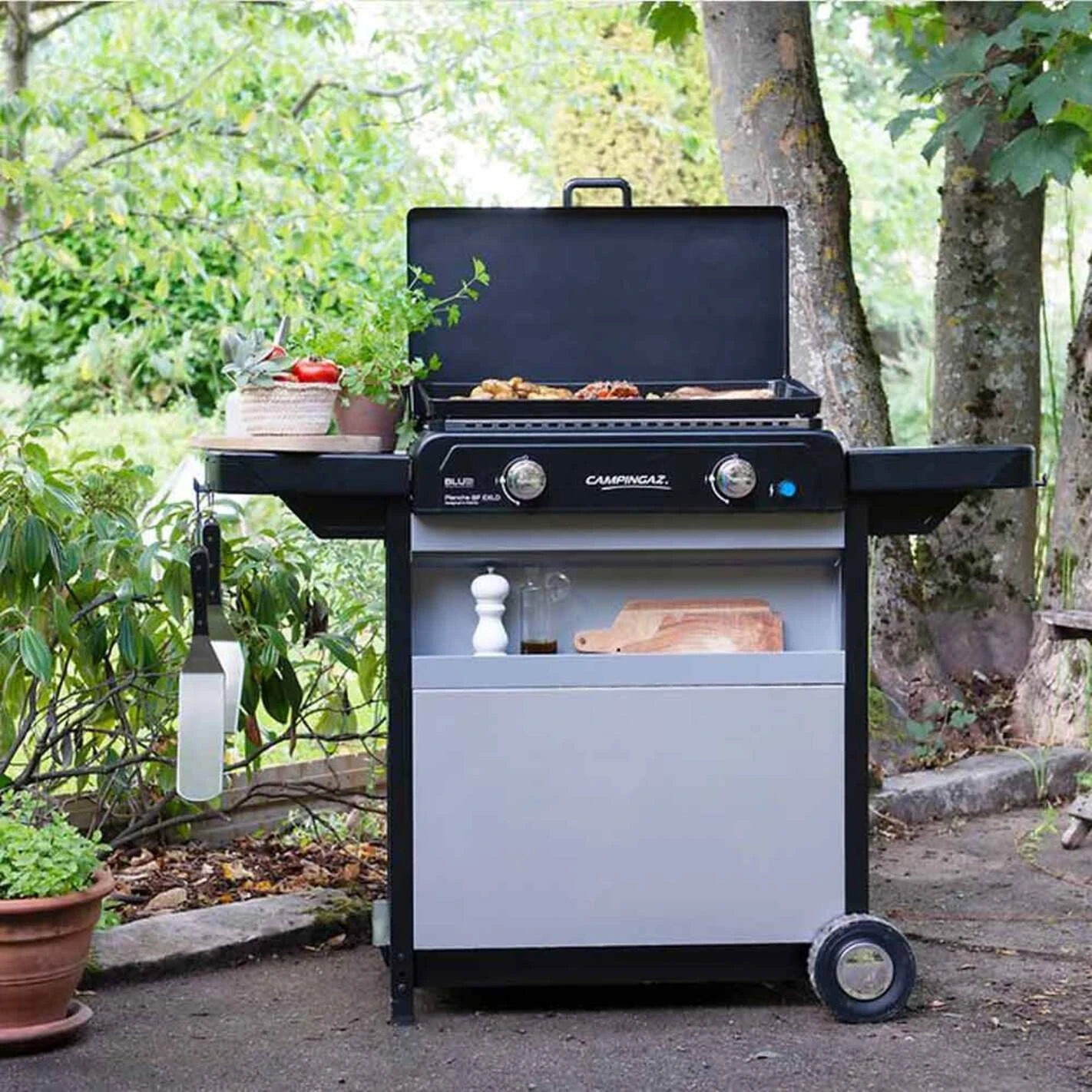 Plancha Gaz Sur Chariot Blue Flame EXLD - Campingaz 5 Plancha Gaz Sur Chariot Blue Flame EXLD - Campingaz – Image 3
